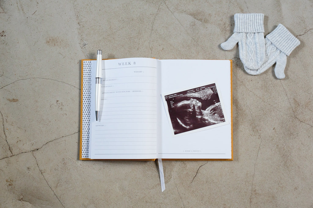 9 Months of You - Pregnancy Journal - My Memory Books